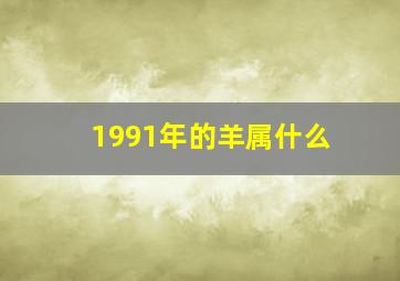 1991年的羊属什么