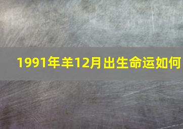 1991年羊12月出生命运如何