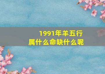 1991年羊五行属什么命缺什么呢