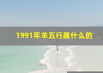 1991年羊五行属什么的