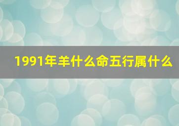 1991年羊什么命五行属什么