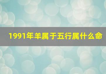 1991年羊属于五行属什么命