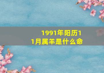 1991年阳历11月属羊是什么命