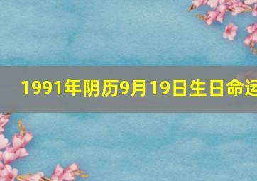 1991年阴历9月19日生日命运