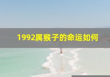 1992属猴子的命运如何