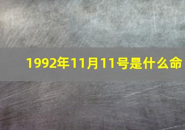 1992年11月11号是什么命