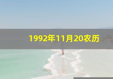 1992年11月20农历