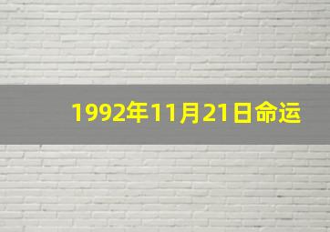 1992年11月21日命运