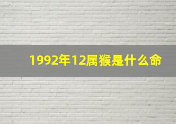 1992年12属猴是什么命