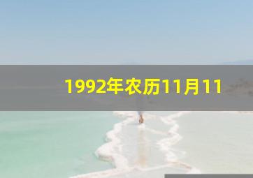 1992年农历11月11