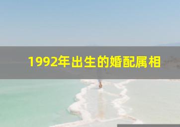 1992年出生的婚配属相