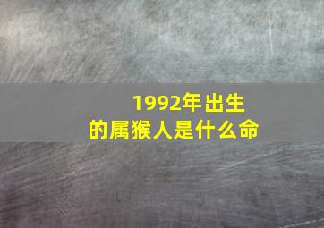 1992年出生的属猴人是什么命