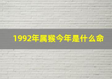 1992年属猴今年是什么命