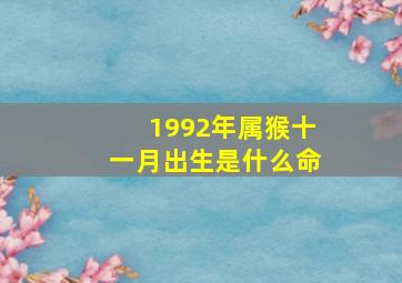 1992年属猴十一月出生是什么命