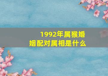 1992年属猴婚姻配对属相是什么