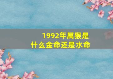 1992年属猴是什么金命还是水命