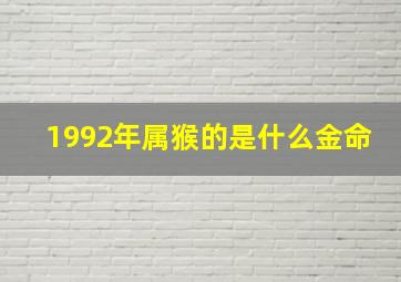 1992年属猴的是什么金命