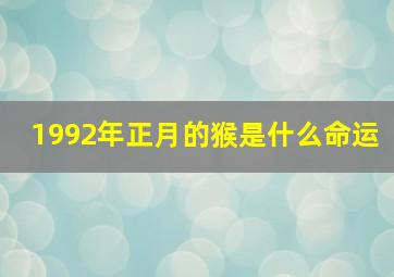 1992年正月的猴是什么命运