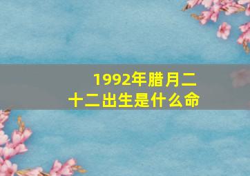 1992年腊月二十二出生是什么命