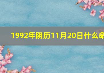 1992年阴历11月20日什么命