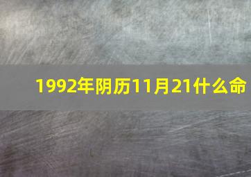 1992年阴历11月21什么命