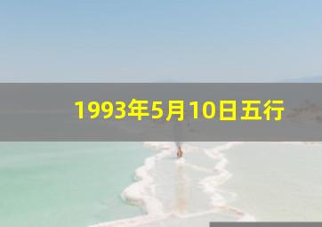 1993年5月10日五行