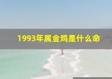 1993年属金鸡是什么命