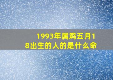 1993年属鸡五月18出生的人的是什么命