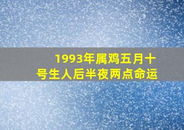 1993年属鸡五月十号生人后半夜两点命运