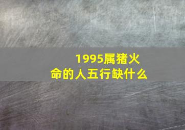 1995属猪火命的人五行缺什么