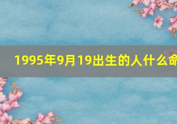 1995年9月19出生的人什么命