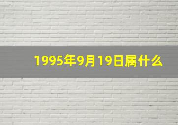 1995年9月19日属什么