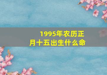 1995年农历正月十五出生什么命