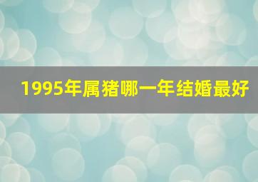 1995年属猪哪一年结婚最好