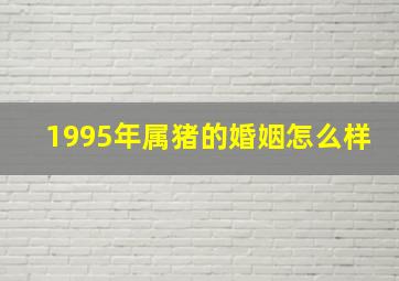 1995年属猪的婚姻怎么样