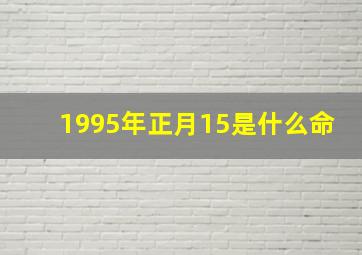 1995年正月15是什么命