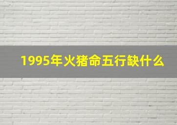 1995年火猪命五行缺什么