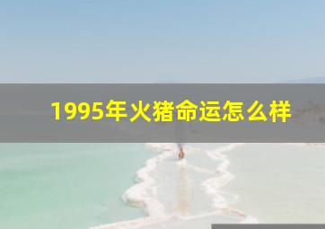 1995年火猪命运怎么样