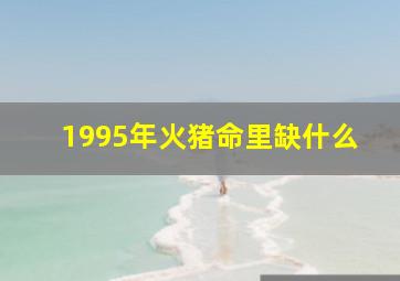 1995年火猪命里缺什么