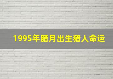 1995年腊月出生猪人命运