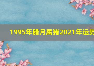 1995年腊月属猪2021年运势