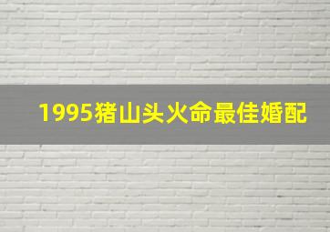 1995猪山头火命最佳婚配