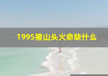 1995猪山头火命缺什么