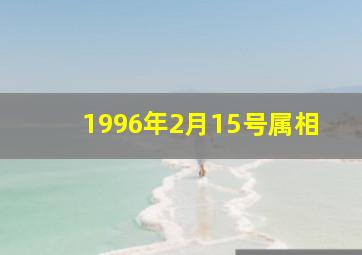 1996年2月15号属相