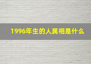 1996年生的人属相是什么