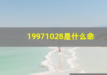 19971028是什么命