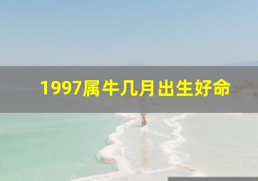 1997属牛几月出生好命