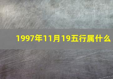 1997年11月19五行属什么