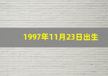 1997年11月23日出生