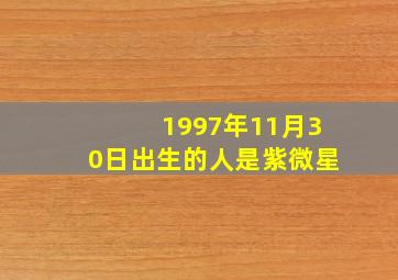 1997年11月30日出生的人是紫微星